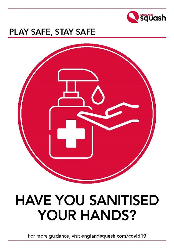 Have you sanitised your hands? poster 